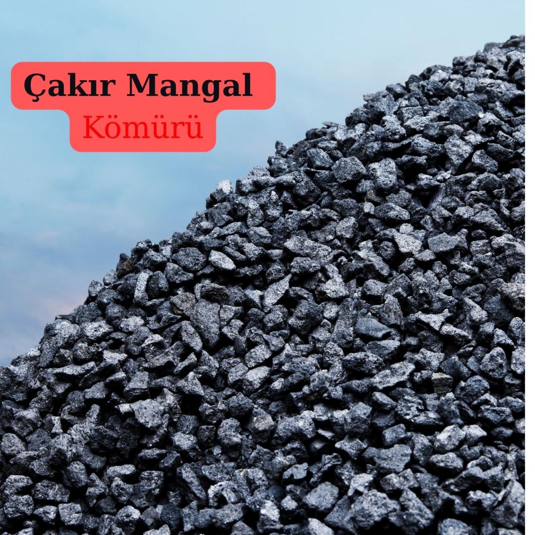 Mangal Kömürü Nedir?